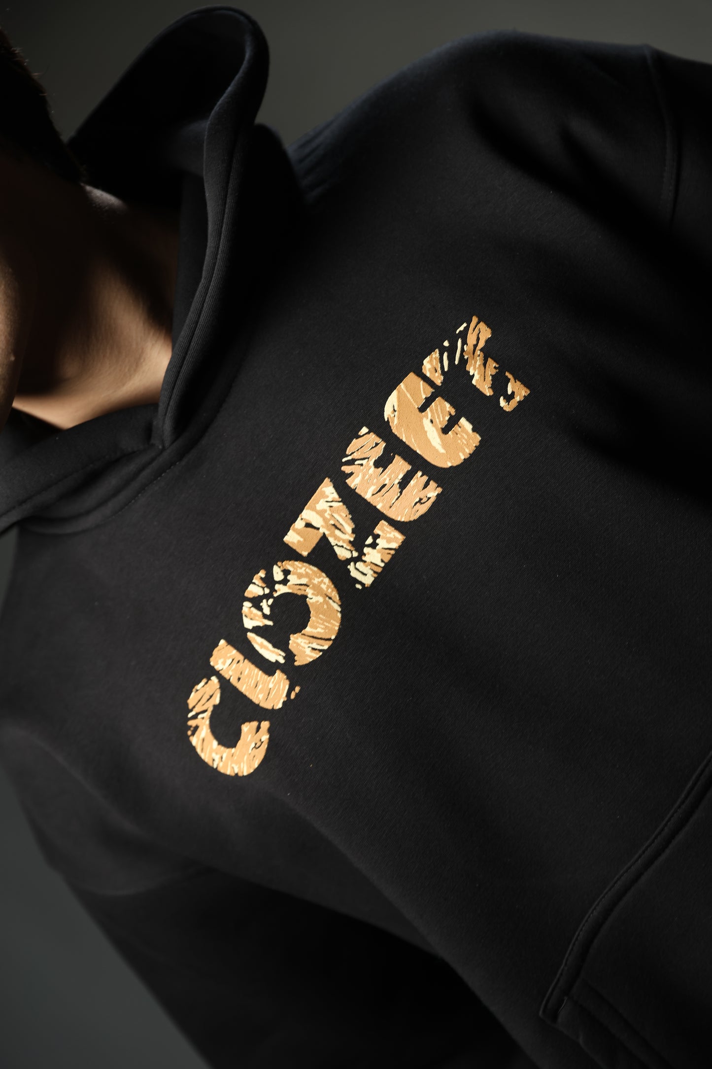 Eagle Reign Hoodie
