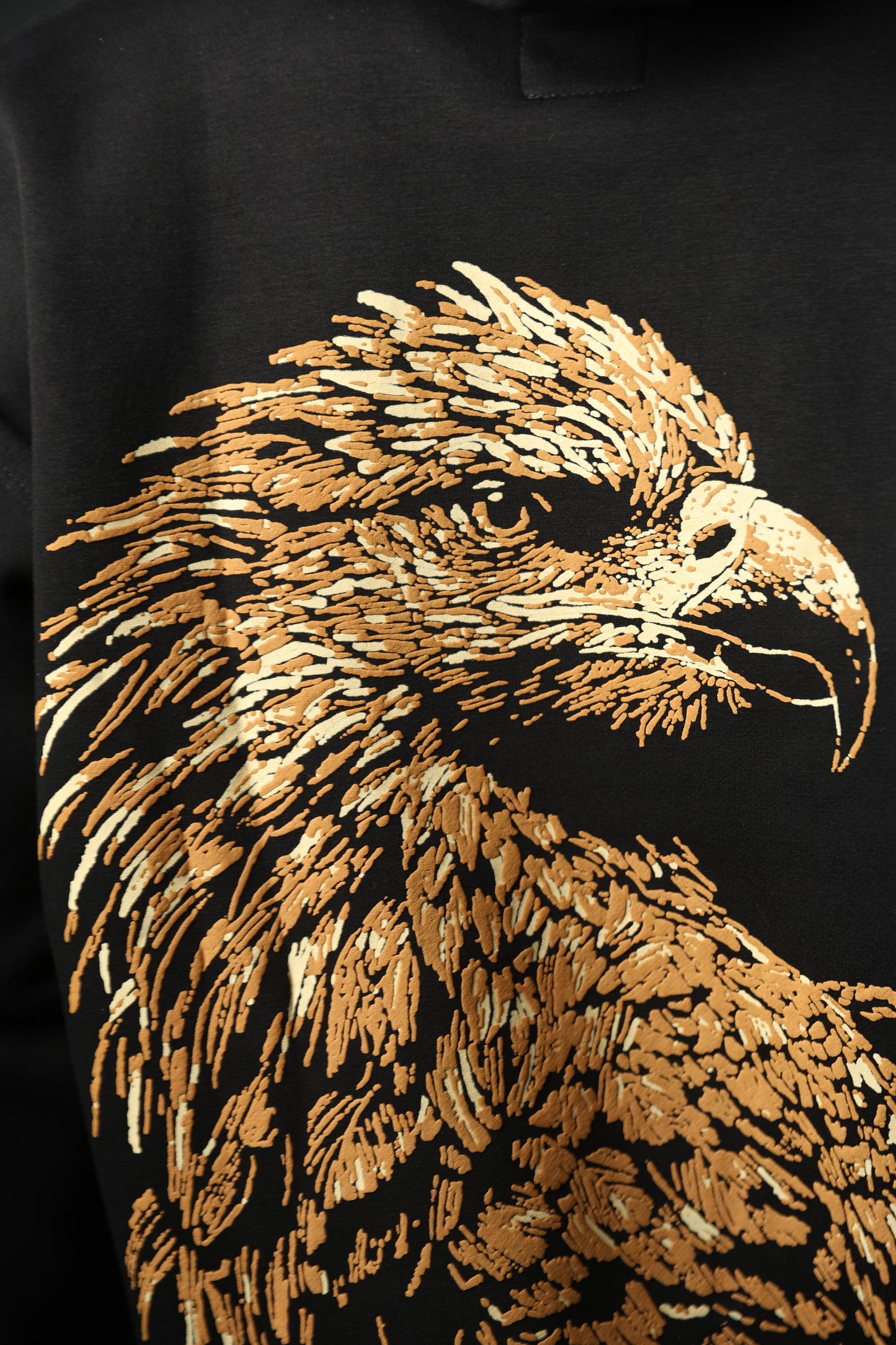 Eagle Reign Hoodie